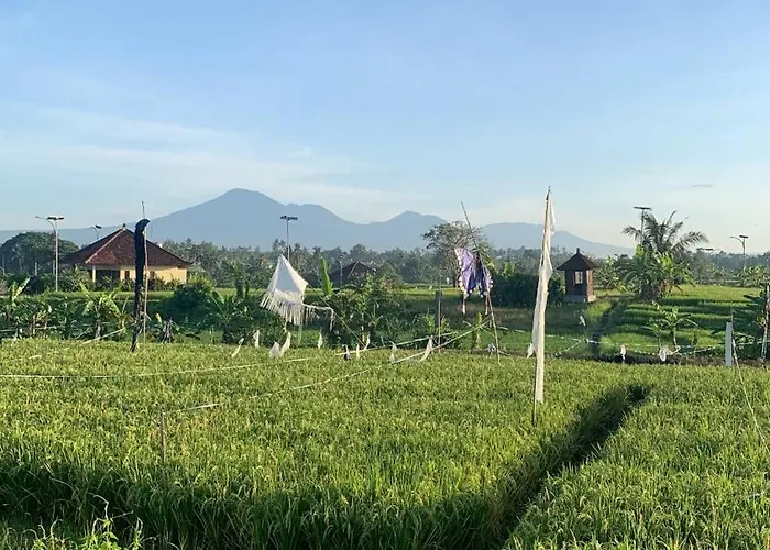 Private Near Kedungu Cozy & Affordable